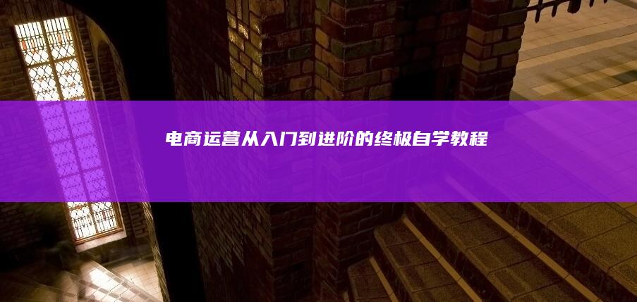 电商运营从入门到进阶的终极自学教程